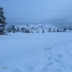 Adventure Class in Snow Backpacking